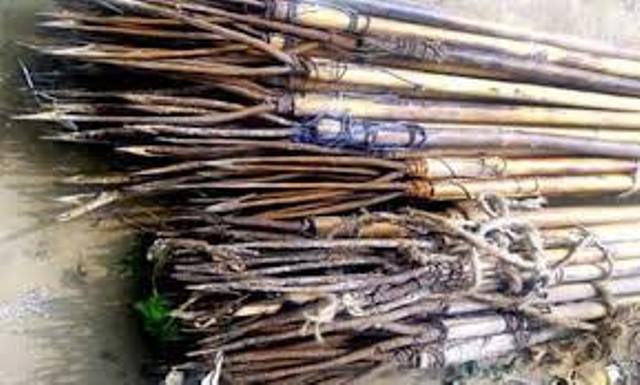 কায়সার হাসনাতের সমর্থকের বাড়ি থেকে ২ শতাধিক দেশীয় অস্ত্র উদ্ধার