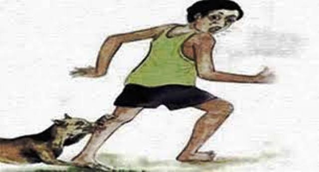 আড়াইহাজারে কুকুরের কামড়ে ৫ শিশু আহত