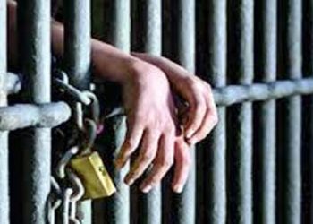 বন্দরে অটোচালক শফিকুল হত্যা মামলায় ২ ভাই শ্রীঘরে