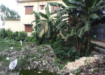 রূপগঞ্জে স্বাস্থ্য ও পরিবার কল্যাণ কেন্দ্রের পাশেই ময়লার ভাগাড়