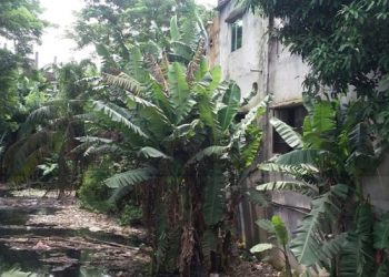 বন্দরে ত্রীবেনি খালটি তার সকল ঐতিহ্য হারিয়ে এখন অবৈধ দখলে