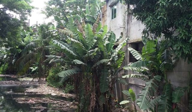 বন্দরে ত্রীবেনি খালটি তার সকল ঐতিহ্য হারিয়ে এখন অবৈধ দখলে