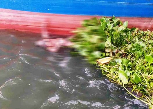 সিদ্ধিরগঞ্জে নিখোঁজ বাল্কহেড চালকের লাশ উদ্ধার