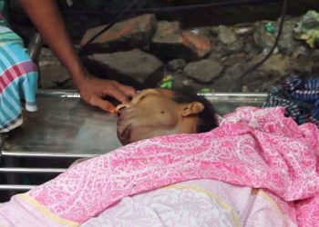 গোগনগরে ট্রাকের চাপায় দুই পথচারী নিহত