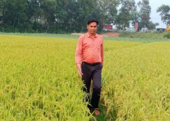 হারানো মালা- সেলিম মিয়া