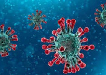 সোনারগাঁয়ে বিয়ের জন্য পাত্রী দেখতে এসে করোনা সন্দেহে জনতার রোষানলে এক যুবক