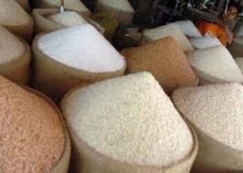 গোগনগর ও আলীরটেক ইউনিয়নে পৌছালে নাসরিন ওসমানের দেওয়া চাল ডাল