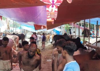 সৈয়দপুর কয়লাঘাট হাটে মানা হচ্ছে না স্বাস্থ্যবিধি