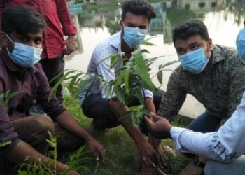 ভুইঘড়ে মুজিবর্ষ উপলক্ষে অয়ন ওসমানের পক্ষে বৃক্ষরোপন কর্মসূচি পালন