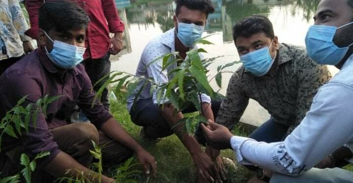 ভুইঘড়ে মুজিবর্ষ উপলক্ষে অয়ন ওসমানের পক্ষে বৃক্ষরোপন কর্মসূচি পালন