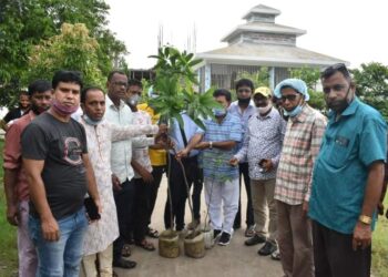 মুজিববর্ষ উপলক্ষে নারায়ণগঞ্জ পূজা উদযাপন পরিষদের বৃক্ষ রোপন কর্মসূচি