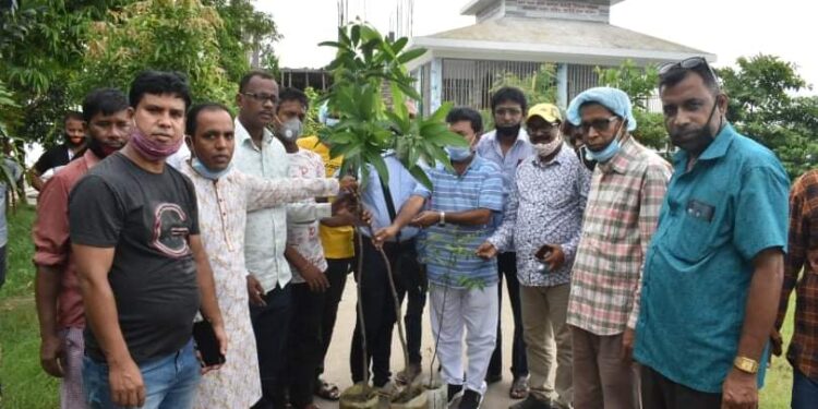 মুজিববর্ষ উপলক্ষে নারায়ণগঞ্জ পূজা উদযাপন পরিষদের বৃক্ষ রোপন কর্মসূচি