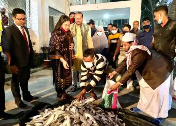 মাছ ঘাট থেকে ১১০ কেজি জাটকা জব্দ॥ ৩ জনকে ১৫ হাজার টাকা জরিমানা