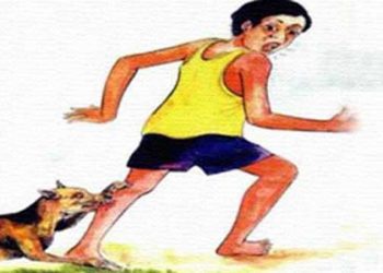 সিদ্ধিরগঞ্জে সংঘবদ্ধ ৭ পাগলা কুকুরের কামুড়ে আহত ১৩