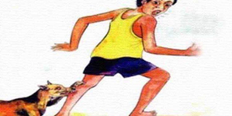 সিদ্ধিরগঞ্জে সংঘবদ্ধ ৭ পাগলা কুকুরের কামুড়ে আহত ১৩