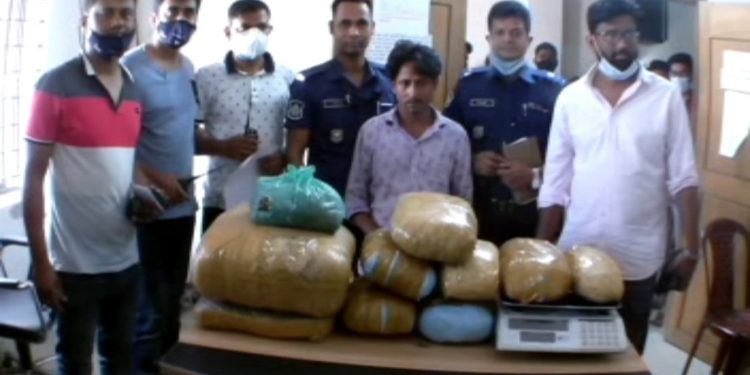 ফতুল্লায় গাঁজা সহ মাদক ব্যবসায়ী গ্রেফতার