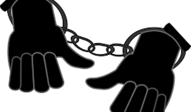 রুপগঞ্জে দুই অটো রিকশা চোর গ্রেফতার