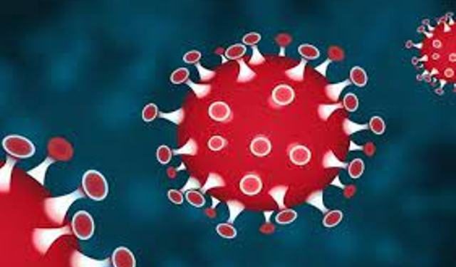 নারায়ণগঞ্জে করোনায় নতুন করে ২ জনের মৃত্যু ও ১২১‌ জন আক্রান্ত