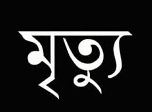 আড়াইহাজারে শালির ধাক্কায় দুলাভাইয়ের মৃত্যু