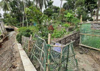 হুমকির মুখে বীরমুক্তিযোদ্ধাদের কবর- দায় এড়াতে চায় সিটি করপোরেশন