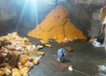 ফতুল্লায় ভেজাল খাদ্য উৎপাদনের দায়ে ২ প্রতিষ্ঠানকে জরিমানা