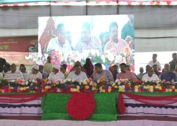 দাউদপুর ইউনিয়ন আওয়ামীলীগের উদ্যোগে মহান স্বাধীনতা দিবস পালন