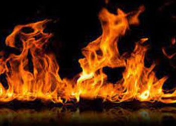 রুপগঞ্জে ট্রাকে আগুন