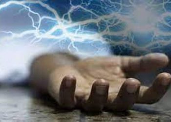 বন্দরে বিদ্যুৎস্পৃষ্ট হয়ে দুই শ্রমিকের মৃত্যু