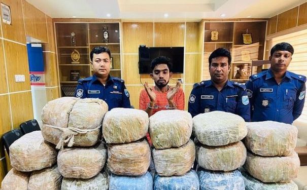 সোনারগায়ে ৪৩ কেজি গাঁজাসহ গ্রেফতার ১