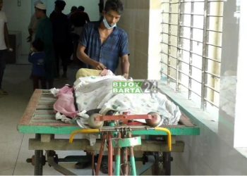 বন্দরে মাকে ছুড়িকাঘাতে হত্যা করেছে ছেলে