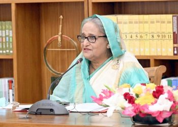 বিদ্যুৎ ও জ্বালানির জন্য আগামী মাস থেকে এত কষ্ট আর থাকবে না-প্রধানমন্ত্রী