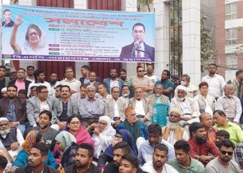 আওয়ামী লীগ এখন রেশমী মিঠাইয়ের দল, চাপ দিলে চুপসে যাবে-আলাল