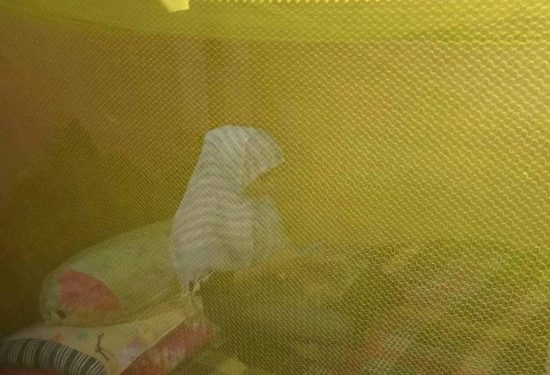 বন্দরে মশার উপদ্রবে অতিষ্ঠ এলাকাবাসী