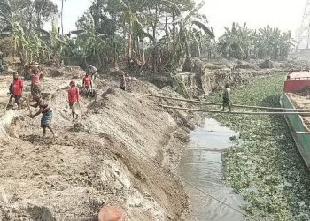 বন্দরে ভূমিদৎসু চাঁন মিয়ার বিরুদ্ধে কৃষি জমির মাটি কেটে বিক্রির অভিযোগ