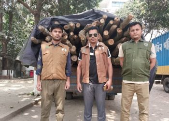 সোনারগাঁয়ে দুই লাখ টাকার অবৈধ চোরাই কাঠ উদ্ধার
