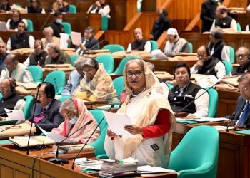 দেশে ব্যাপক উন্নয়নের পেছনে রয়েছে স্থিতিশীল সংসদীয় গণতন্ত্রের অবদান-প্রধানমন্ত্রী