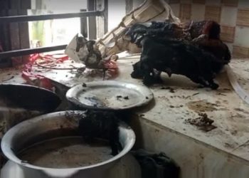 আড়াইহাজারে গ্যাস সিলিন্ডারের লিকেজ থেকে বিস্ফোরণে শিশুসহ স্বামী-স্ত্রী দগ্ধ
