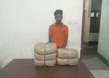 আড়াইহাজারে ১০ কেজি গাঁজাসহ আটক ১