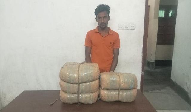 আড়াইহাজারে ১০ কেজি গাঁজাসহ আটক ১