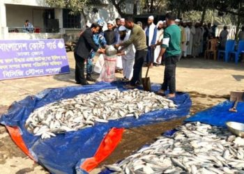 কাঁচপুরে অবৈধ ৩ হাজার ৪৫০ কেজি জাটকা জব্দ