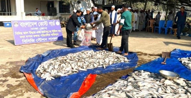 কাঁচপুরে অবৈধ ৩ হাজার ৪৫০ কেজি জাটকা জব্দ