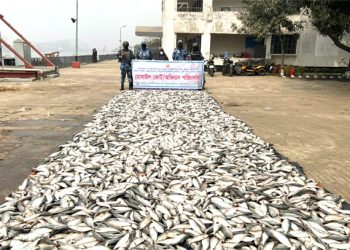 কোস্টগার্ডের অভিযানে ৪৮৫০ কেজি জাটকা জব্দ