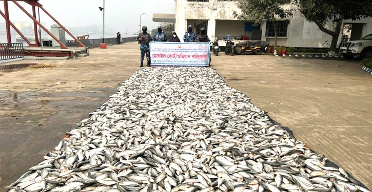 কোস্টগার্ডের অভিযানে ৪৮৫০ কেজি জাটকা জব্দ