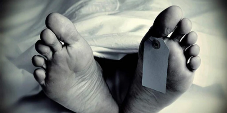 আড়াইহাজারে সেচ মেশিনে পেচিয়ে শিশুর মর্মা*ন্তিক মৃ*ত্যু