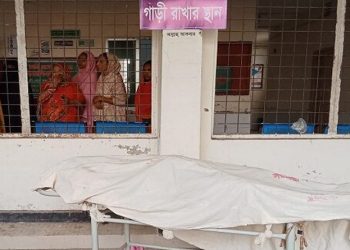 গরুবাহী পিকআপ খাদে পড়ে নিহত ১