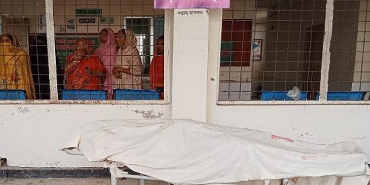 গরুবাহী পিকআপ খাদে পড়ে নিহত ১