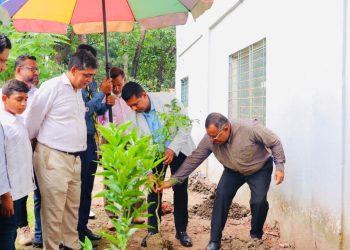 সবুজায়নে নারায়ণগঞ্জ কলেজে ছাদ বাগানের উদ্বোধন করলেন ডিসি