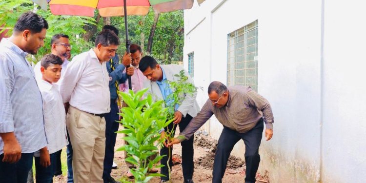 সবুজায়নে নারায়ণগঞ্জ কলেজে ছাদ বাগানের উদ্বোধন করলেন ডিসি