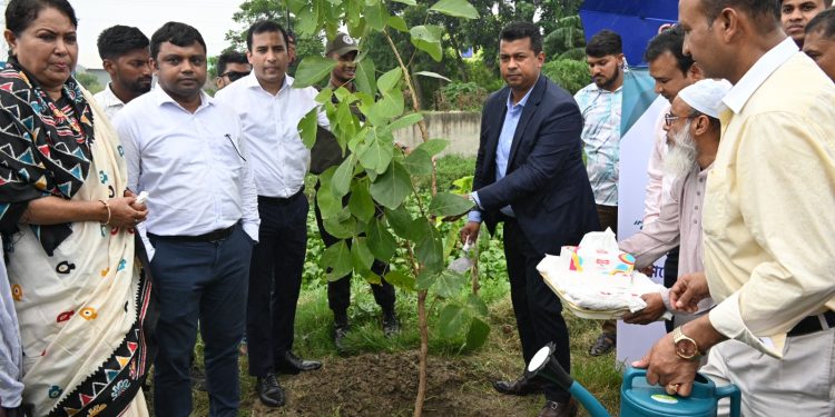 বৃক্ষরোপণ কর্মসূচির মাধ্যমে ‘গ্রিন অ্যান্ড ক্লিন নারায়ণগঞ্জ’ অভিযানের সূচনা