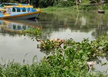 সোনারগায়ে নদী থেকে অজ্ঞাত নারীর মরদেহ উদ্ধার